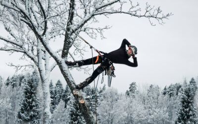 Neli toimingut, mida enne talveperioodi kindlasti teha
