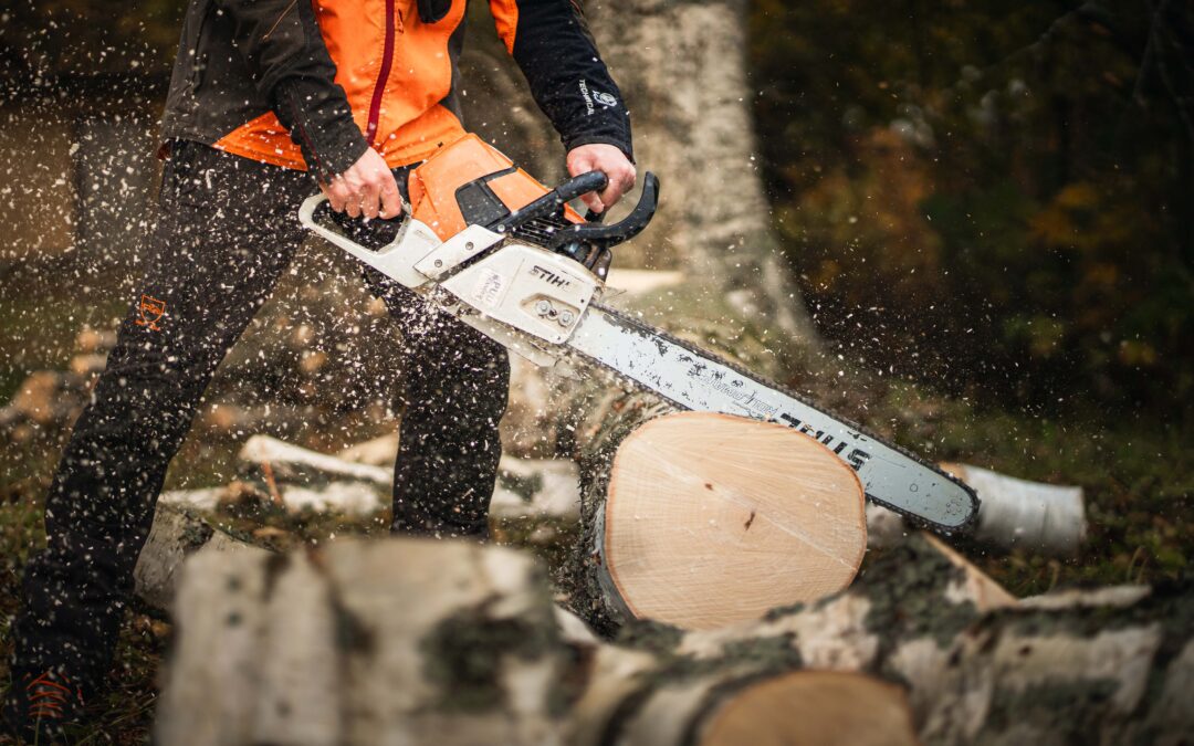 Arboristi teenustest