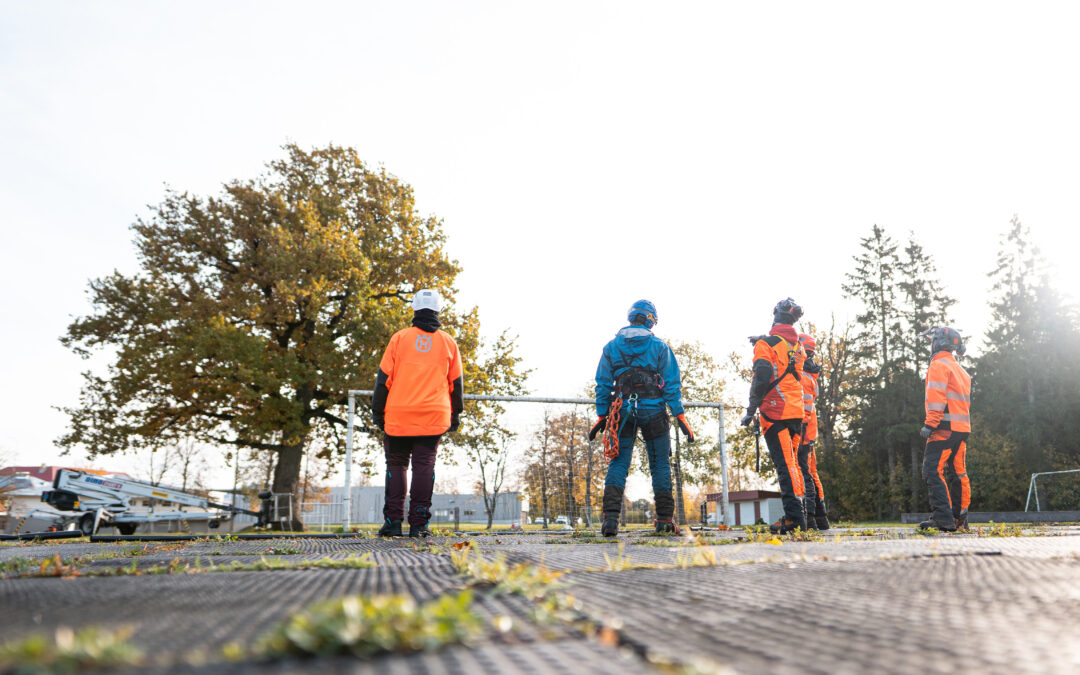 Orissaare staadionitamme võra redutseerimine