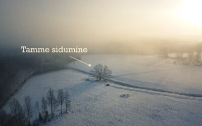 Põlistamme säilitustööd maagilises paigas