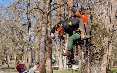 Puuränduri kevad täis kogemusi ja arengut